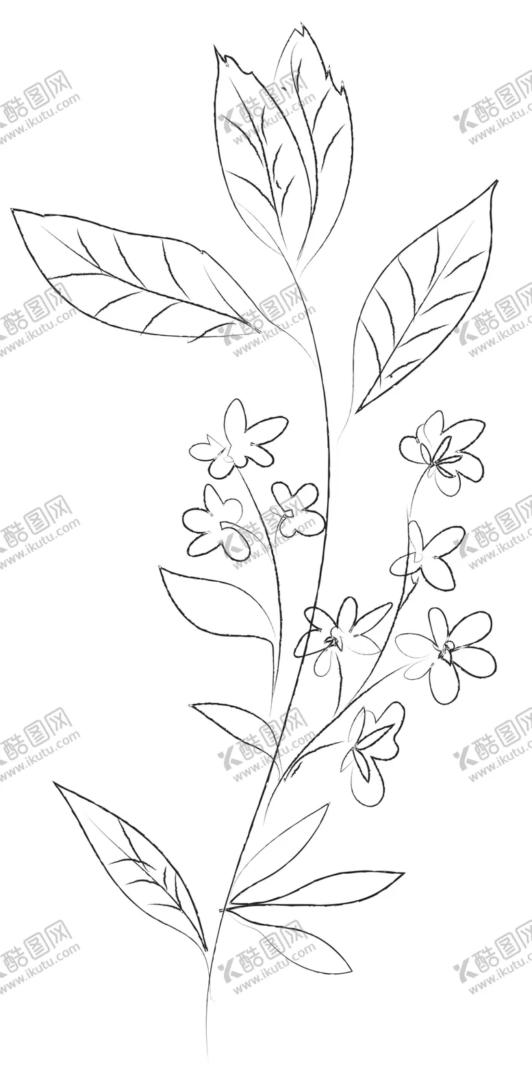 编号：37015007140748178209【酷图网】源文件下载-手绘植物花卉