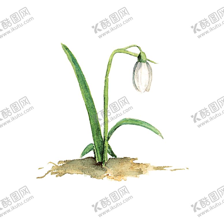 编号：12991607122214358146【酷图网】源文件下载-绿色植物