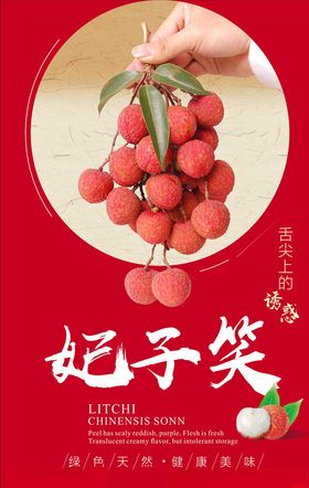 高佣推广海南妃子笑荔枝