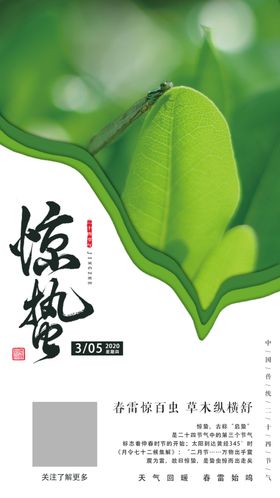 惊蛰