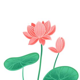 荷花元素叶材手绘材鲜材