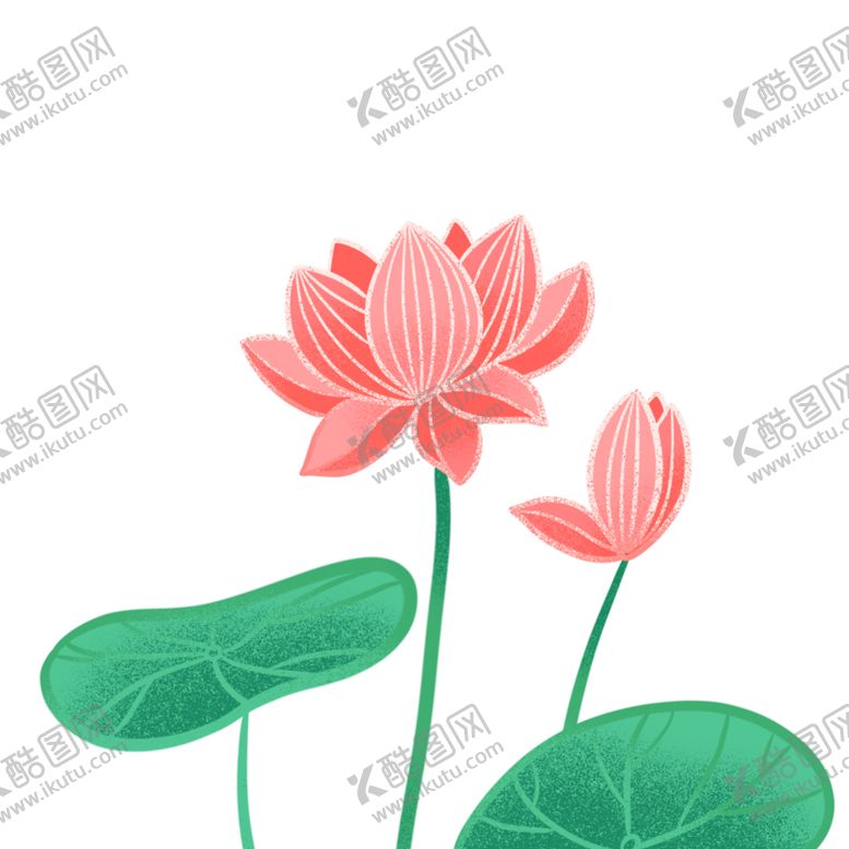 编号：88289405081104042037【酷图网】源文件下载-荷花元素