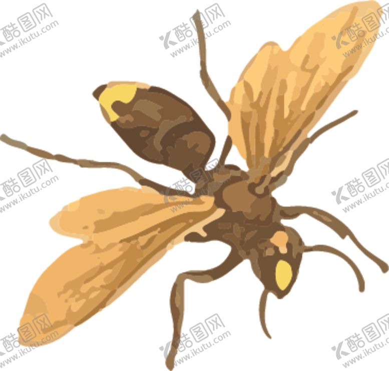 编号：66119009300609471607【酷图网】源文件下载-蜜蜂昆虫插画
