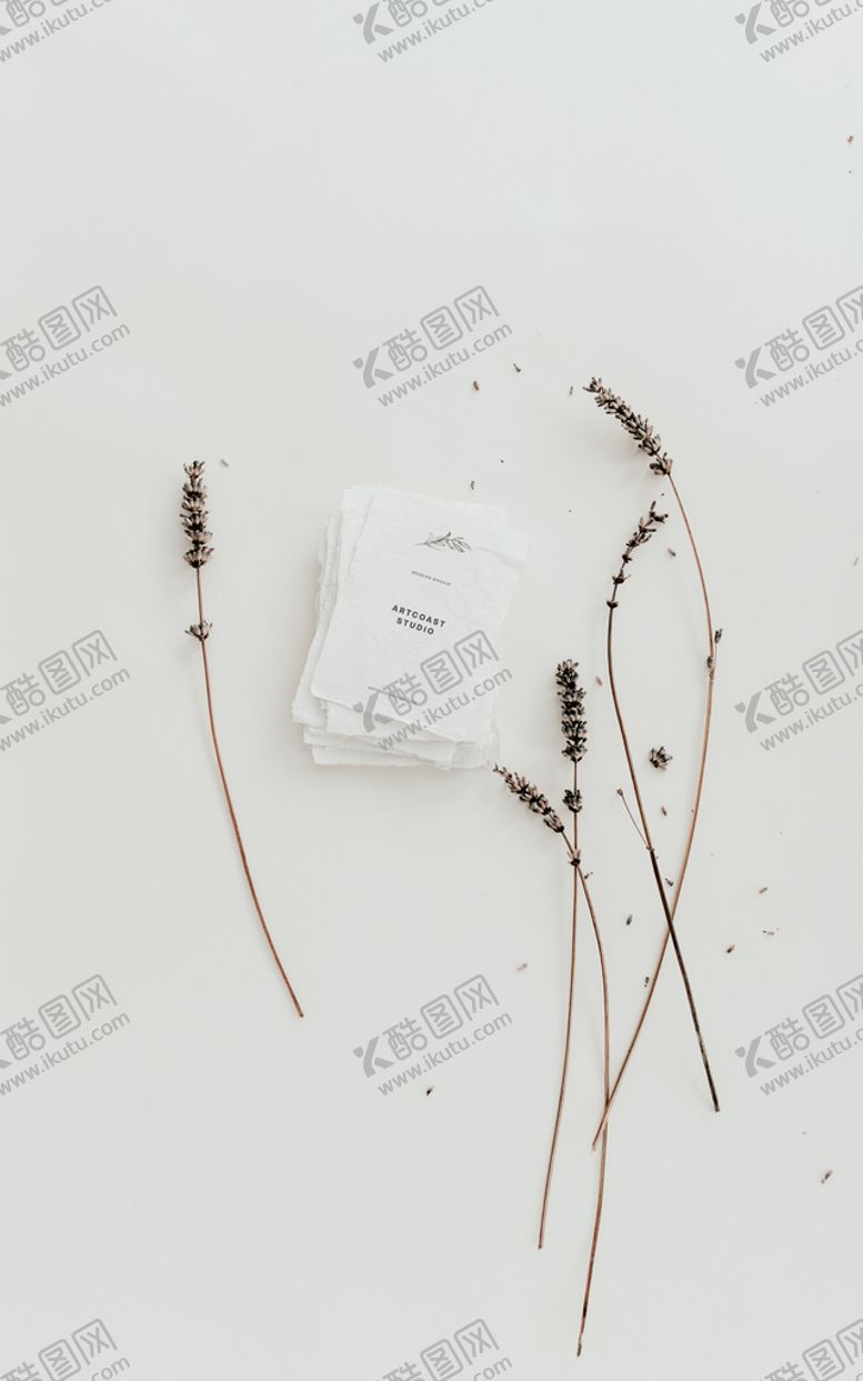 编号：52098609252309290714【酷图网】源文件下载-手持名片样机