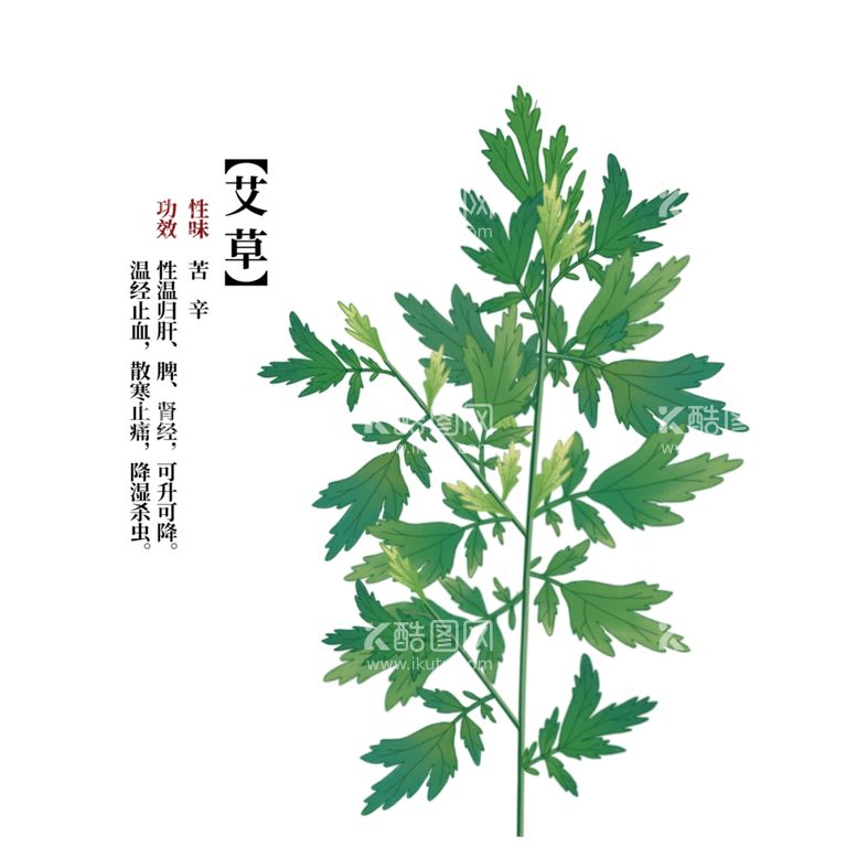 编号：75163912161400404815【酷图网】源文件下载-艾草植物标签