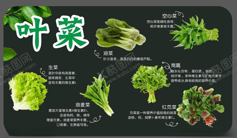 编号：79497102251343265317【酷图网】源文件下载-叶菜