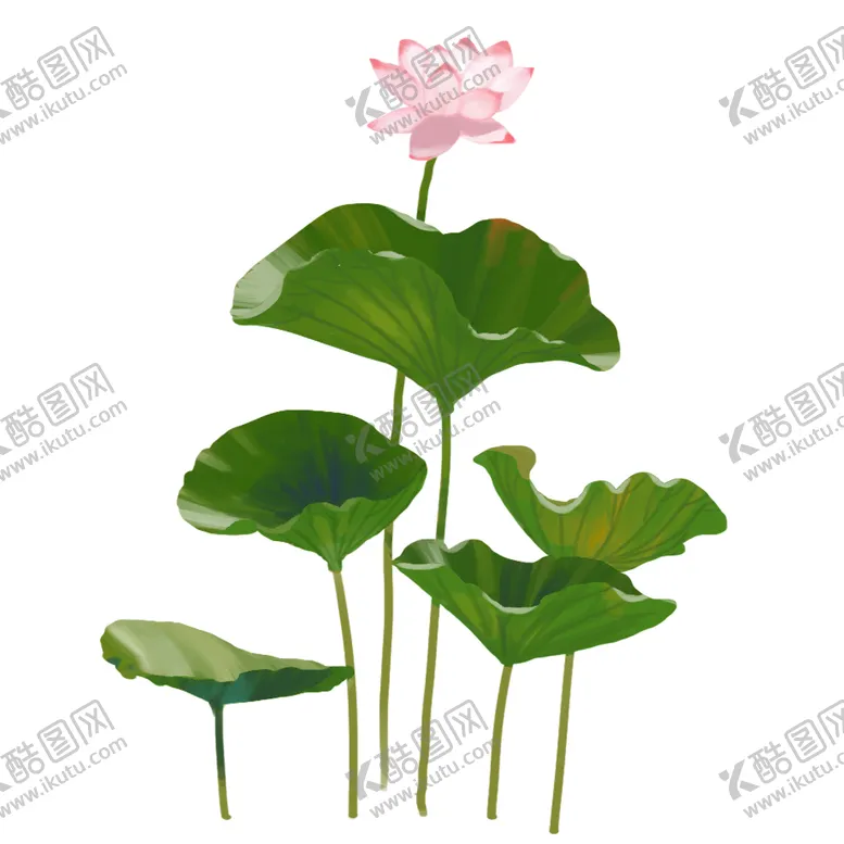 编号：75093407041527323520【酷图网】源文件下载-荷花荷叶插画卡通古风夏季素材