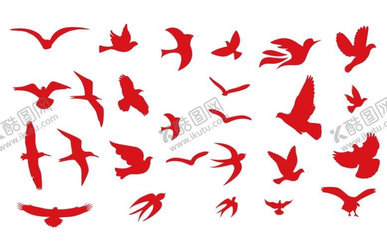 编号：17878110060150237952【酷图网】源文件下载-鸽子