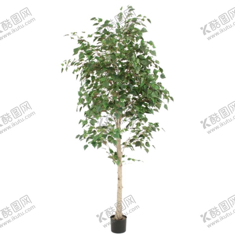 编号：69321109231355002965【酷图网】源文件下载-免抠背景花草树木