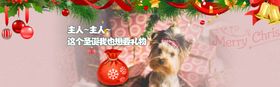 淘宝2016圣诞节