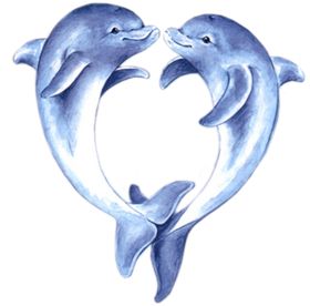海豚