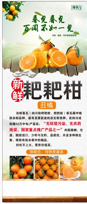 耙耙柑展架