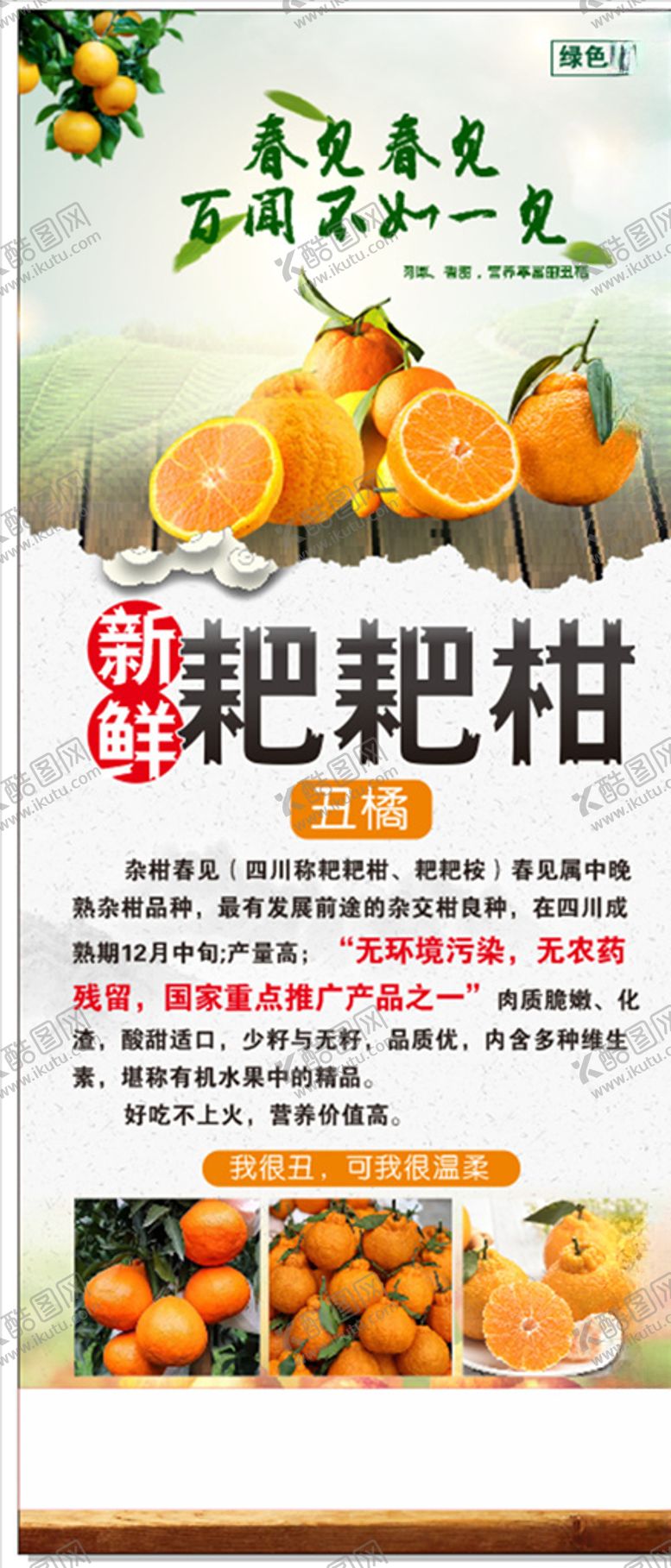 编号：41496706171929279184【酷图网】源文件下载-耙耙柑展架