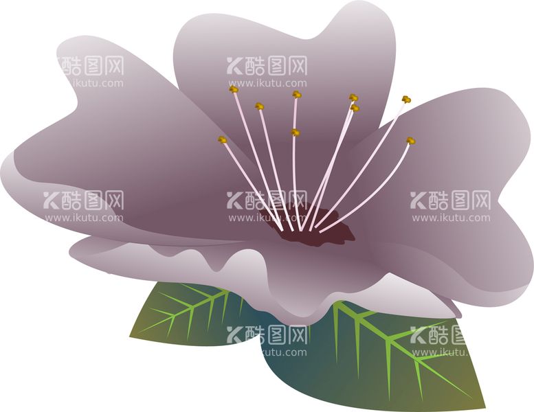 编号：79251310100101298207【酷图网】源文件下载-写实花卉