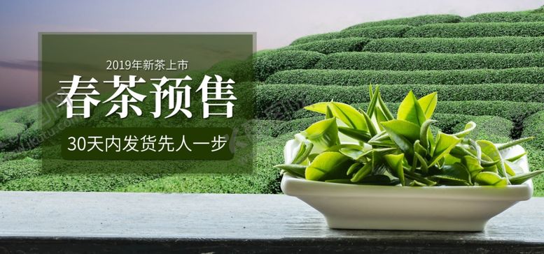 编号：43982909250734567481【酷图网】源文件下载-春茶预售