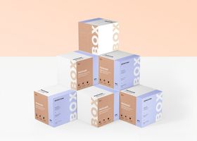纸盒样机箱样机包装盒样机