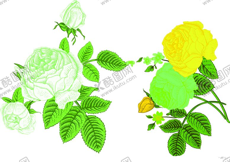 编号：74024909262112505691【酷图网】源文件下载-花素材