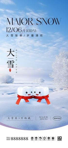 医美大雪海报