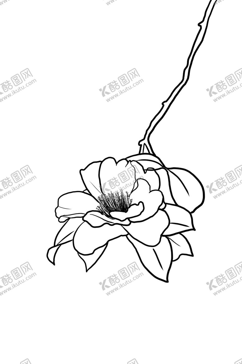 编号：42864609191537446552【酷图网】源文件下载-油茶花