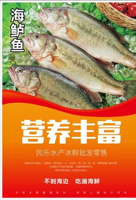 不到海边吃遍海鲜
