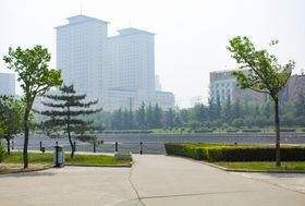 跆拳道 鞠躬 女