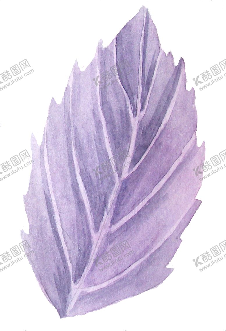 编号：84512007041349599598【酷图网】源文件下载-彩绘枝叶