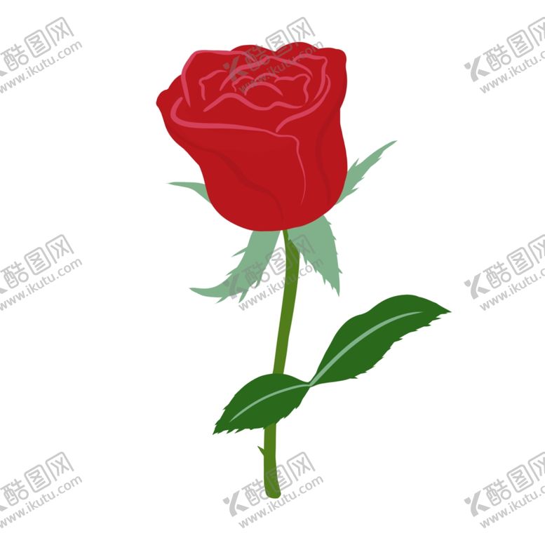 编号：15104302131525423462【酷图网】源文件下载-玫瑰花图片