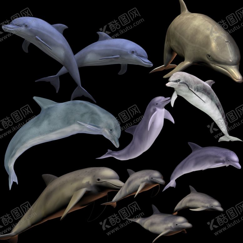 编号：96739610110505127865【酷图网】源文件下载-海豚png免扣图片