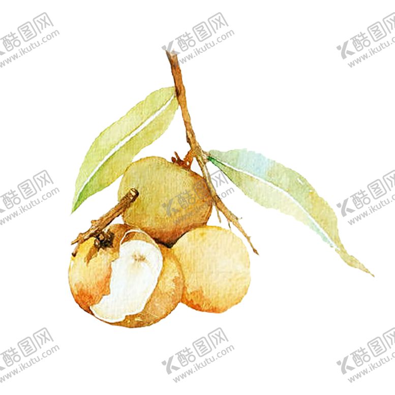 编号：24506809201302228512【酷图网】源文件下载-水果