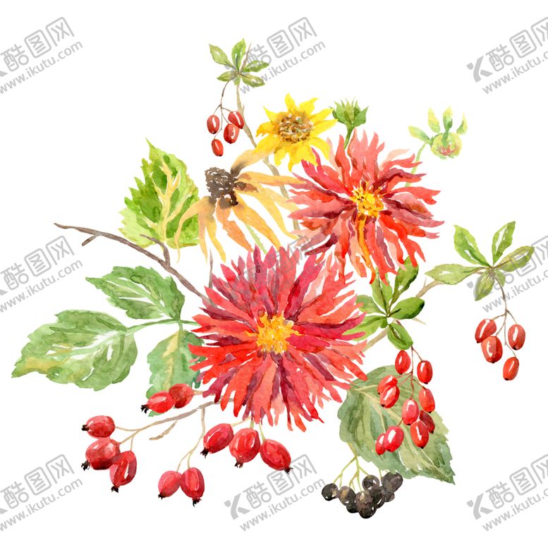 编号：74229912191651468959【酷图网】源文件下载-手绘花卉