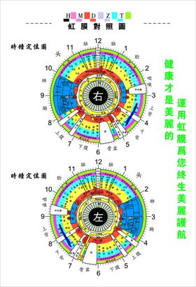 虹膜对照图