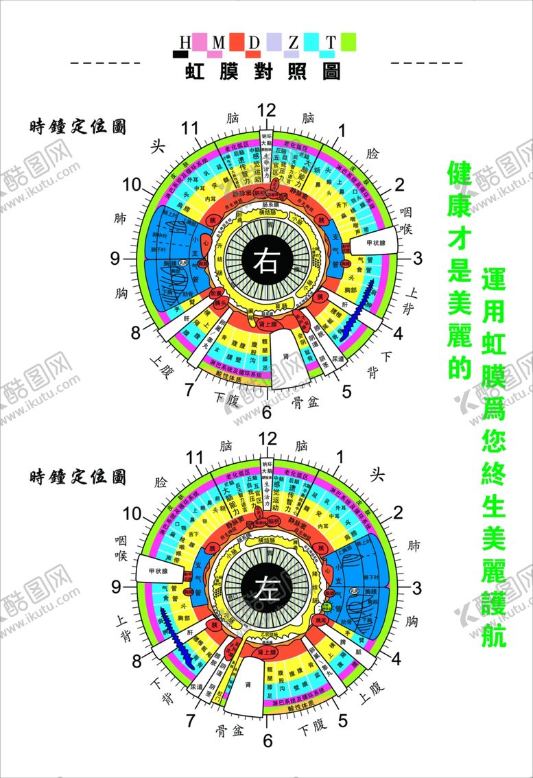编号：59893507031003172985【酷图网】源文件下载-虹膜对照图
