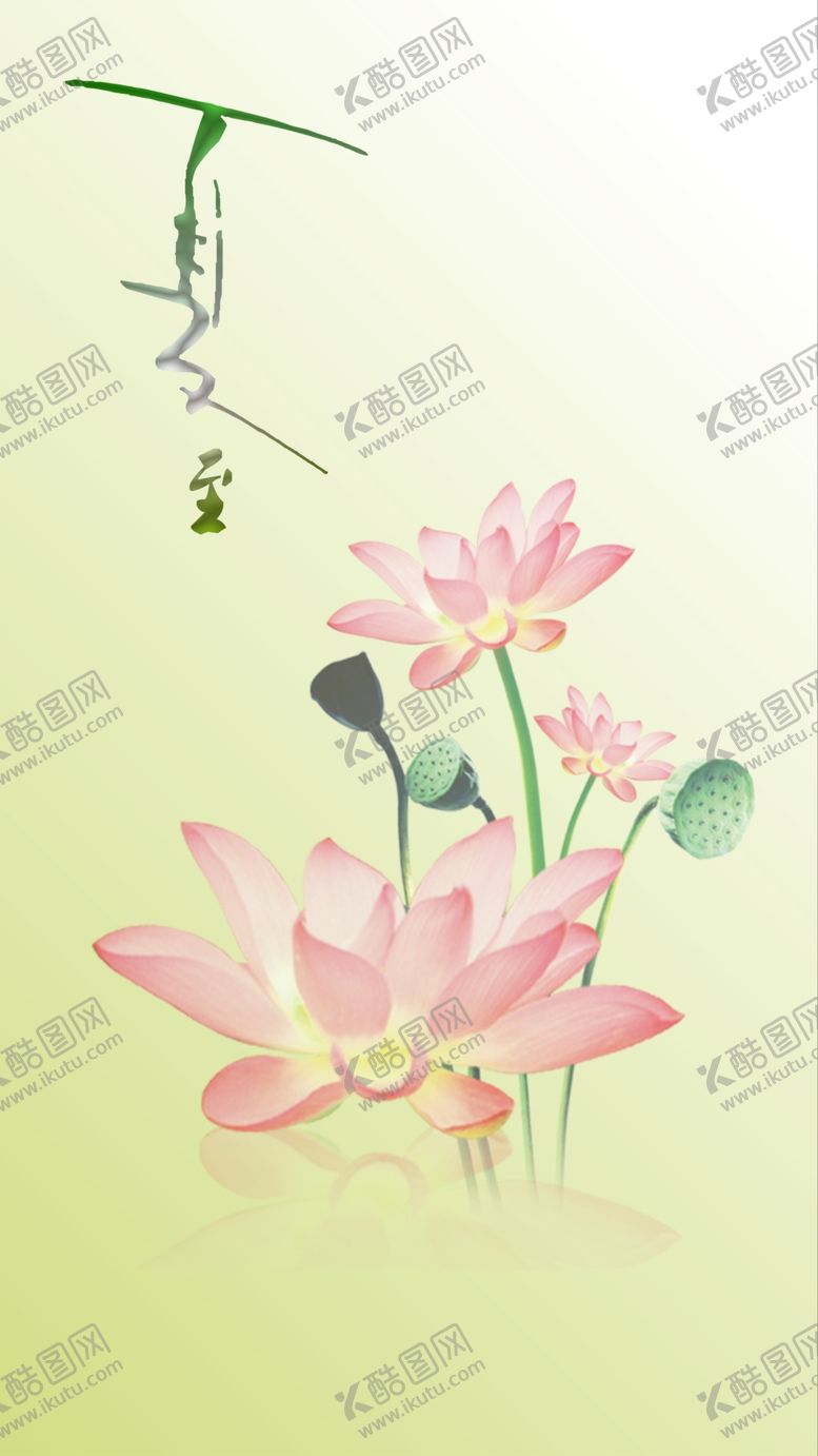 编号：71801510070153251746【酷图网】源文件下载-莲蓬荷花