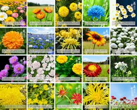 家居品类组合海报