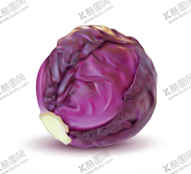 编号：46873605161534188340【酷图网】源文件下载-手绘包菜