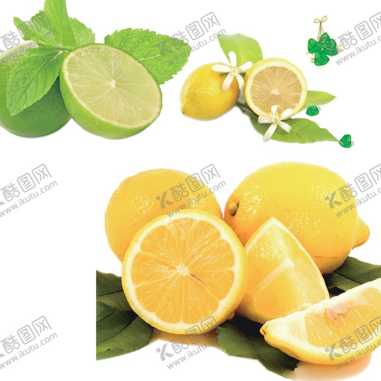 编号：32816909222034480278【酷图网】源文件下载-柠檬