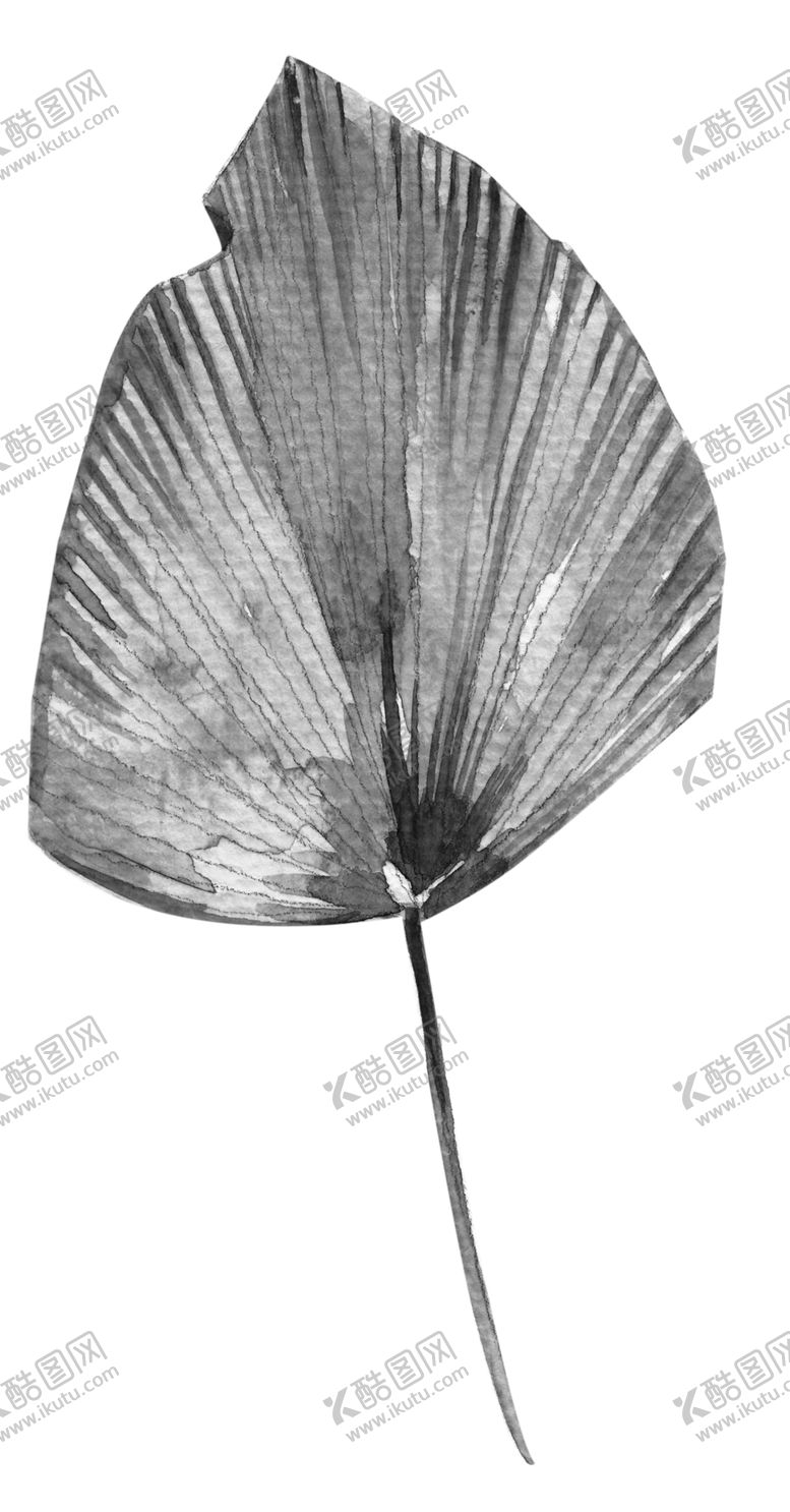 编号：68034206170321288790【酷图网】源文件下载-北欧小清新水彩植物图案