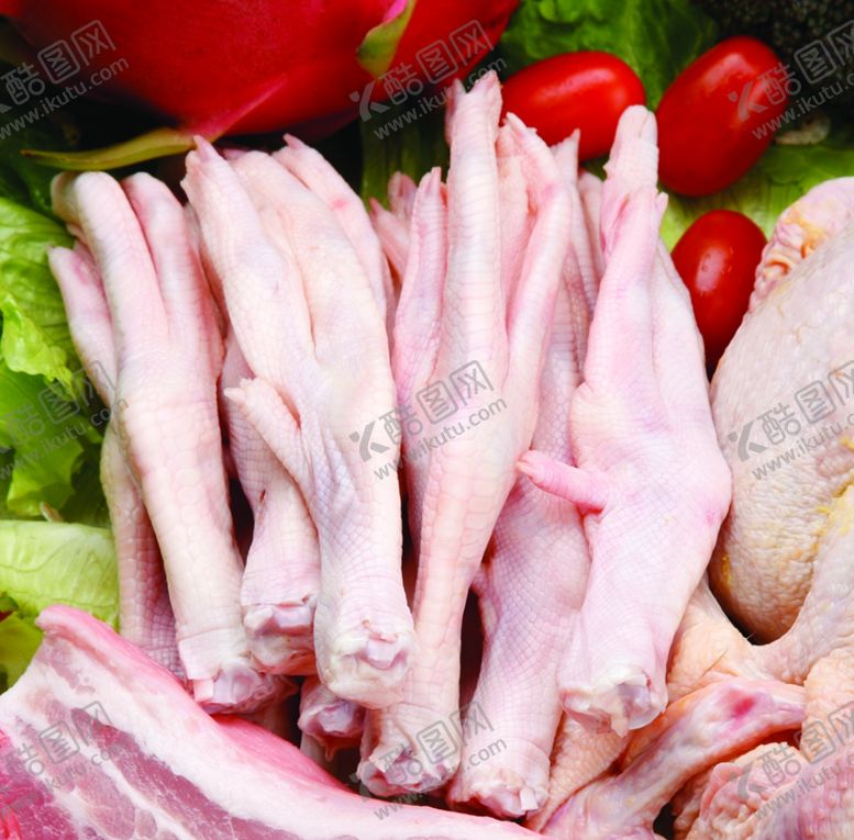 编号：20768409190649411933【酷图网】源文件下载-鸭掌