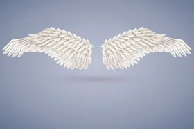 翅膀