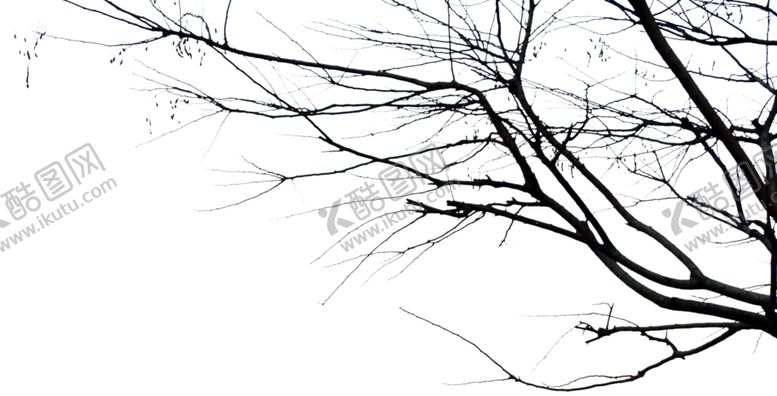 编号：67663910081358021460【酷图网】源文件下载-冬天前景树