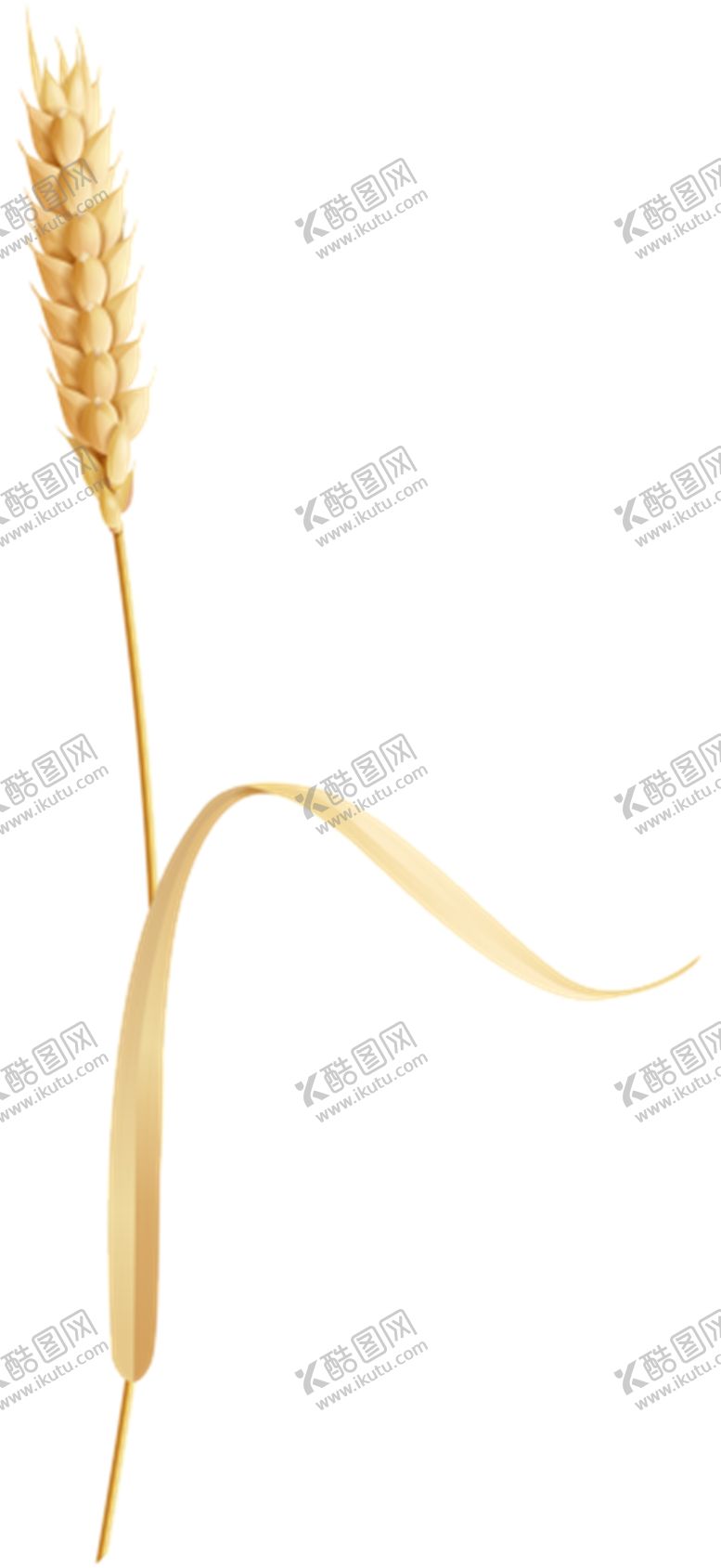 编号：79801105090747565329【酷图网】源文件下载-麦子