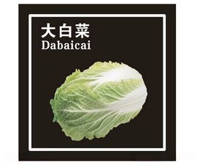 高山大白菜推广图