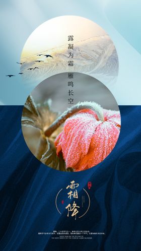 霜降海报雪景节气冬天雪花