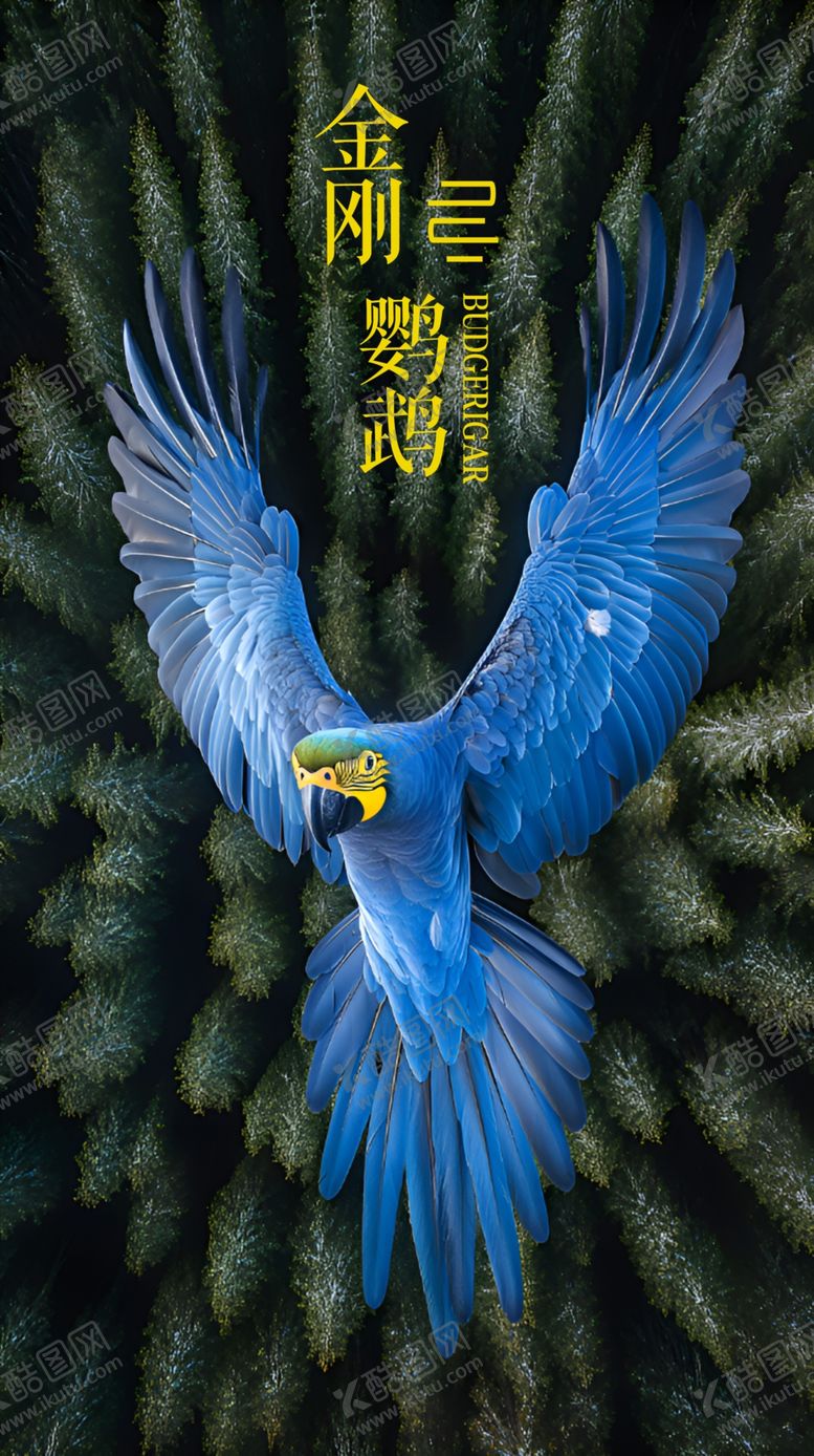 编号：81567202241356035829【酷图网】源文件下载-金刚鹦鹉