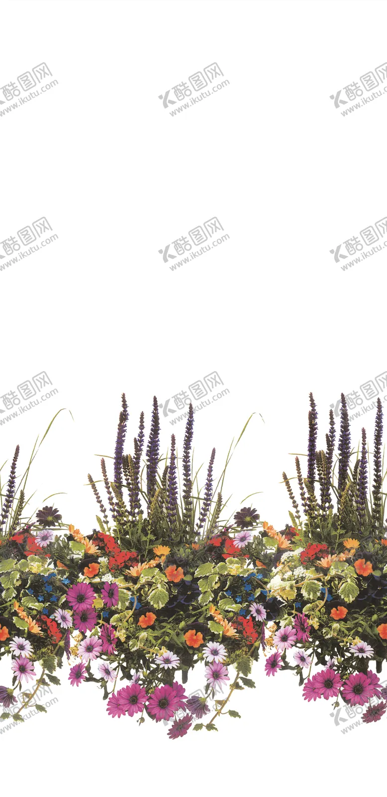 编号：20807402251043177660【酷图网】源文件下载-定位花
