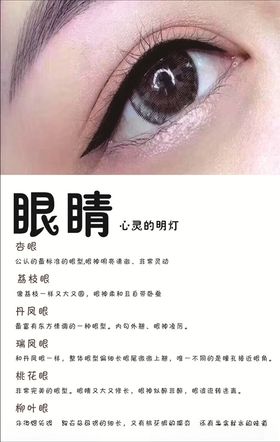 眼睛