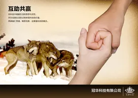 公司文化