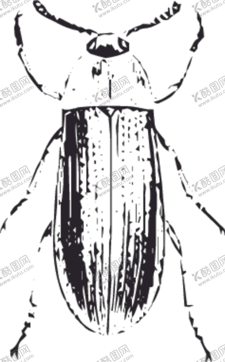 编号：43764210300855017541【酷图网】源文件下载-自然昆虫标本插画