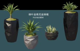 盆栽花盆绿植PSD免扣素材