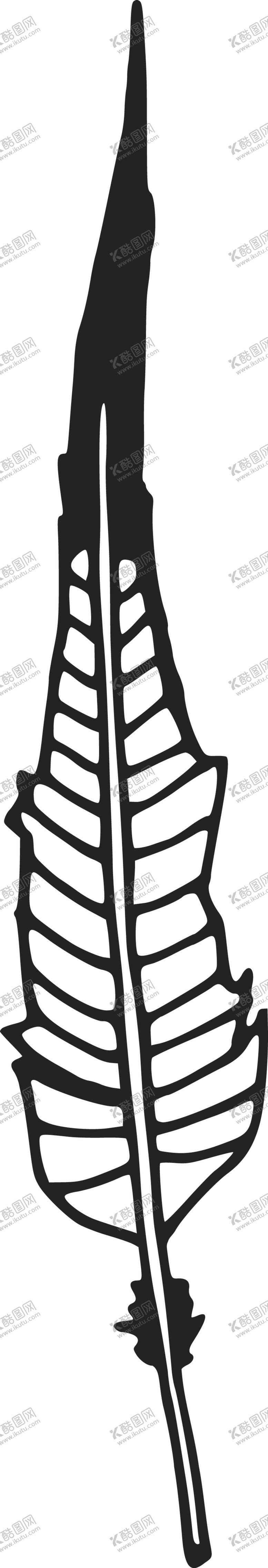 编号：14171201201312274687【酷图网】源文件下载-羽毛 素材 